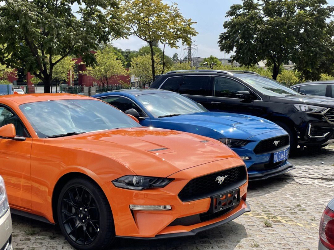 {娛樂城}(福特野马15万左右的车)