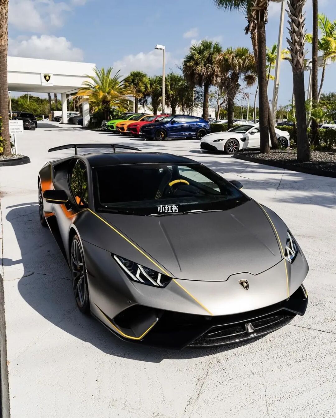 {百家樂}(兰博基尼大牛和小牛价格差距)